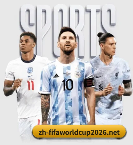 世界杯五大内容板块,覆盖赛事直播与实时比分